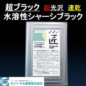 セントラル産業 シャーシブラック 超 ブラック 超 速乾タイプ 超 光沢