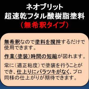 無希釈 (稀釈シンナーが不要)シャーシレッド ...の詳細画像1
