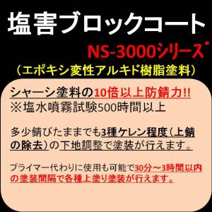 約10倍以上の 防錆力 スプレー塗料 油性 シ...の詳細画像5
