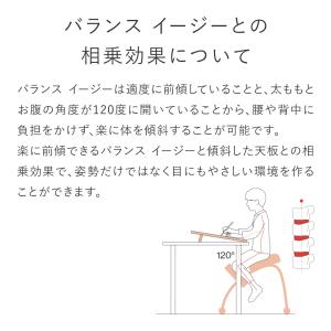 イージー ライティング ボード[Mサイズ]学習...の詳細画像5
