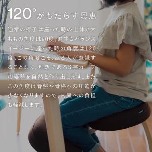 バランスチェア バランスイージー 学習椅子 木...の詳細画像3