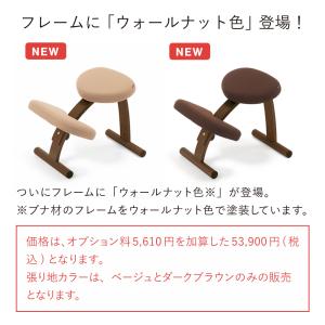 バランスチェア バランスイージー 学習椅子 木...の詳細画像1