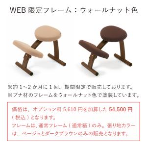 バランスチェア バランスイージー 学習椅子 木...の詳細画像1