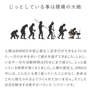 バランスチェア バランスシナジー オフィスチェ...の詳細画像2