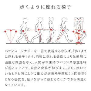バランスチェア バランスシナジー オフィスチェ...の詳細画像3