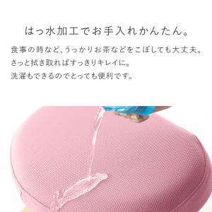 バランスチェア バランスチェアー バランスイー...の詳細画像3