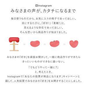 バランスチェア バランスチェアー バランスイー...の詳細画像3