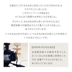 バランスチェア バランスチェアー バランスイー...の詳細画像4
