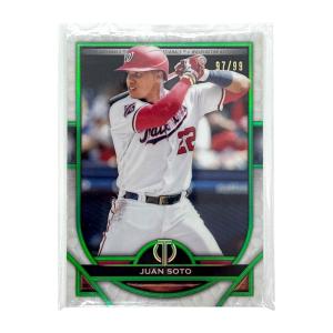 ブシロード ヴァンガード D-TB06／MSR07 三銃士の想いを宿すフランス王