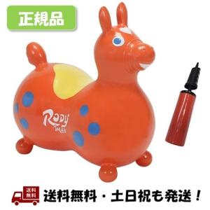 -倍速ハンディポンプ付- RODY MAX / ロディ マックス - オレンジ / Orange  ...