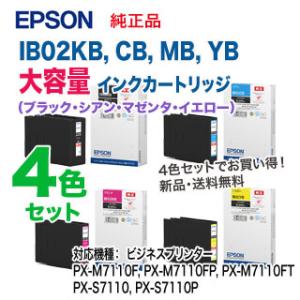 【大容量・4色セット】 エプソン IB02KB...の詳細画像1