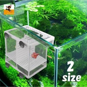 水槽 隔離ケースの商品一覧 通販 Yahoo ショッピング