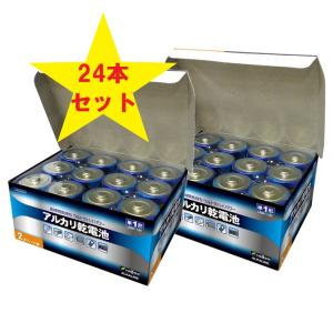 アルカリ 乾電池 単1 24本 セット 電池 長持ち 水銀ゼロ 備蓄 防災 非常用 懐中電灯 単一