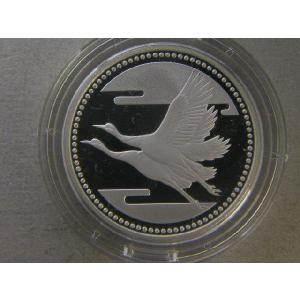 平成5年 皇太子殿下御成婚記念 2種プルーフ貨幣セット 5000円 銀貨 500