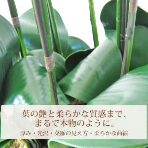 光触媒 胡蝶蘭 造花 7本立 白 ホワイト| ...の詳細画像3