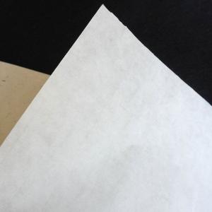 紅星牌 見本紙 5枚 約24cm×35cm 書...の詳細画像5