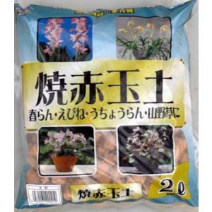焼赤玉土の商品一覧 通販 Yahoo ショッピング
