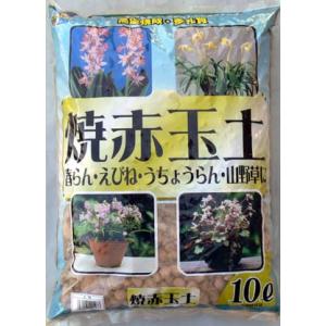 焼赤玉土の商品一覧 通販 Yahoo ショッピング