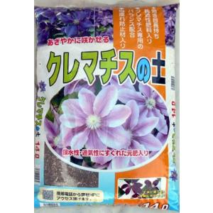 あかぎ園芸 セントポーリアの土 【25L】 : 植える花夢 手作り園芸工房