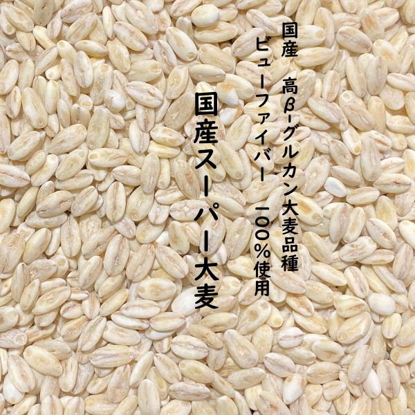 国産スーパー大麦 5kg 愛知県産 高β-グルカン大麦品種 ビューファイバー 100% β-グルカン...