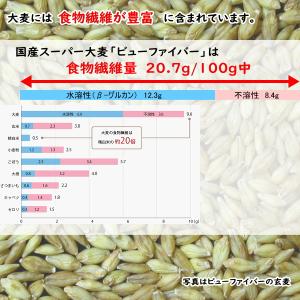 国産スーパー大麦 ビューファイバー 5kg 愛...の詳細画像1
