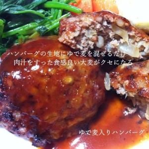 国産スーパー大麦 ビューファイバー 5kg 愛...の詳細画像5