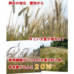 国産スーパー大麦 ビューファイバー 5kg 愛...の詳細画像3