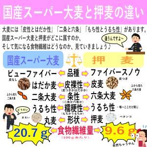 国産スーパー大麦 ビューファイバー 5kg 愛...の詳細画像4