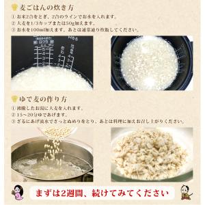 国産 ビタ白麦 業務用 5kg ( 健康 腸活...の詳細画像5