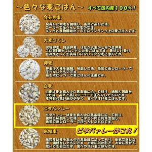 国産 ビタ白麦 800g 単品 ( 健康 腸活...の詳細画像4