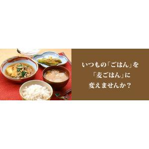 国産 胚芽押麦 お徳用 5kg ( 健康 腸活...の詳細画像3