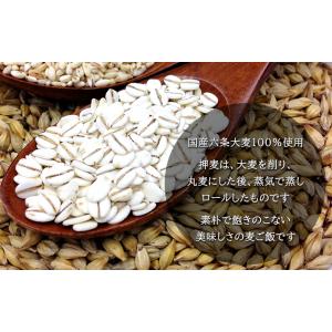国産 胚芽押麦 お徳用 5kg ( 健康 腸活...の詳細画像4