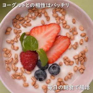 もち麦シリアル6.6 業務用 1kg 【送料無...の詳細画像5