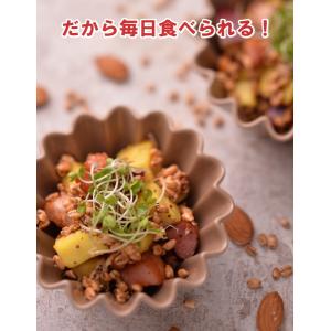 もち麦シリアル6.6 10個入りケース 【送料...の詳細画像3
