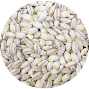【 単品 】アメリカ産 もち麦 500g 腸活...の詳細画像1