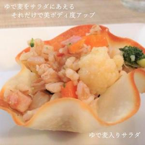 【 単品 】アメリカ産 もち麦 500g 腸活...の詳細画像3