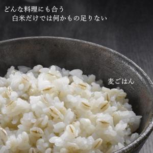 【 単品 】アメリカ産 もち麦 500g 腸活...の詳細画像4