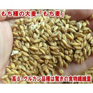 もち麦【 地域限定送料無料 】国産スーパーもち...の詳細画像4