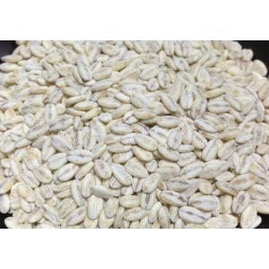 もち麦【 地域限定送料無料 】国産スーパーもち...の詳細画像5