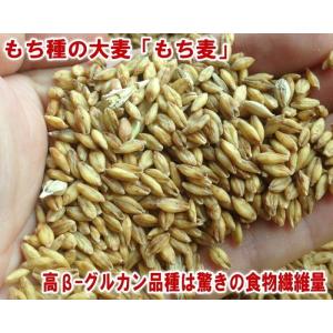 もち麦 国産スーパーもち麦 業務用 5kg 愛...の詳細画像3