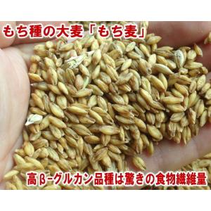 もち麦【 地域限定送料無料 】 国産スーパーも...の詳細画像2