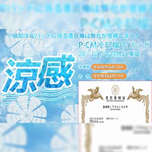【意匠登録済み】頭部冷却 PCMアイスキャップ...の詳細画像1