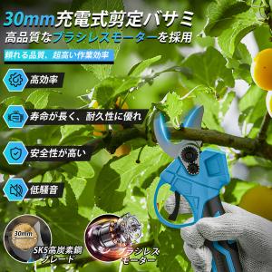たかえだ 電動 チェーンソー 充電式 6インチ...の詳細画像2