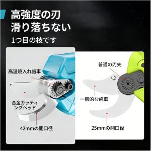 即納 剪定ばさみ 電動 充電式 高枝切りバサミ...の詳細画像3