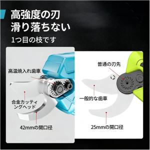 即納 剪定ばさみ 電動 充電式 高枝切りバサミ...の詳細画像2
