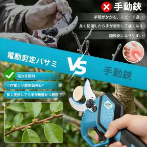 即納 剪定ばさみ 電動 充電式 高枝切りバサミ...の詳細画像2