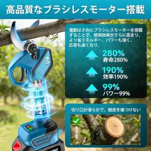 即納 剪定ばさみ 電動 充電式 高枝切りバサミ...の詳細画像4
