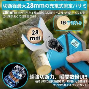 即納 剪定ばさみ 電動 充電式 高枝切りバサミ...の詳細画像5