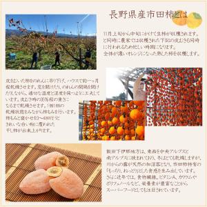 栗福柿・栗きんとん10個セット お中元 夏ギフ...の詳細画像5