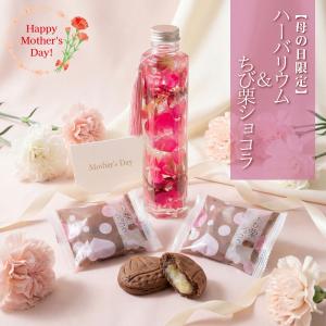 ハーバリウムとちび栗ショコラセット 母の日ギフト 2026 苺 チョコ お菓子 スイーツ 感謝 お花 チョコレート